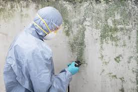 Best Emergency Mold Remediation  in Rutledge, GA